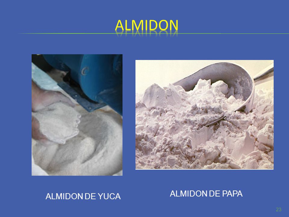 Las papas la nutrici n y la alimentaci n